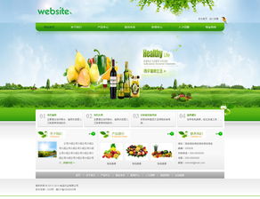 食品行業(yè)企業(yè)網(wǎng)站模板可視化版 響應(yīng)式設(shè)計與手機軟件應(yīng)用