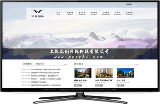 上海品劃網(wǎng)絡(luò) 專業(yè)松江網(wǎng)站建設(shè)與移動應(yīng)用服務(wù)