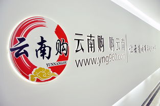 云南購，購云南 奧遠科技助力云南商品與品牌走向世界